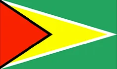 Guyana flag