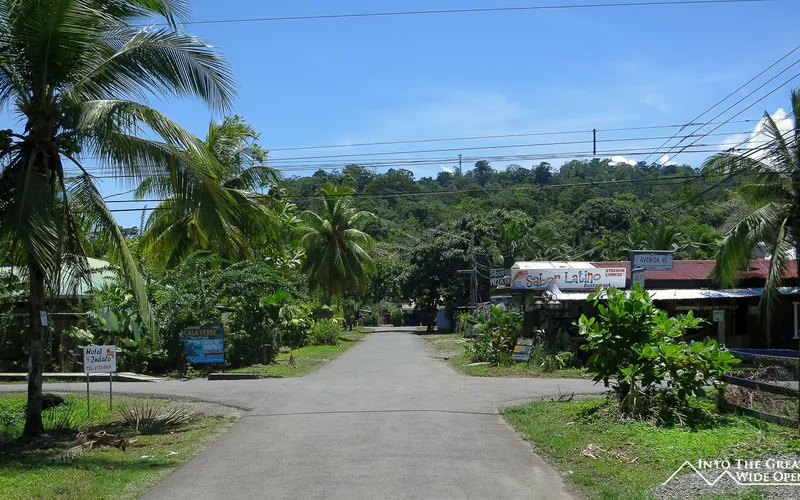 Lush streets in Puerto Viejo