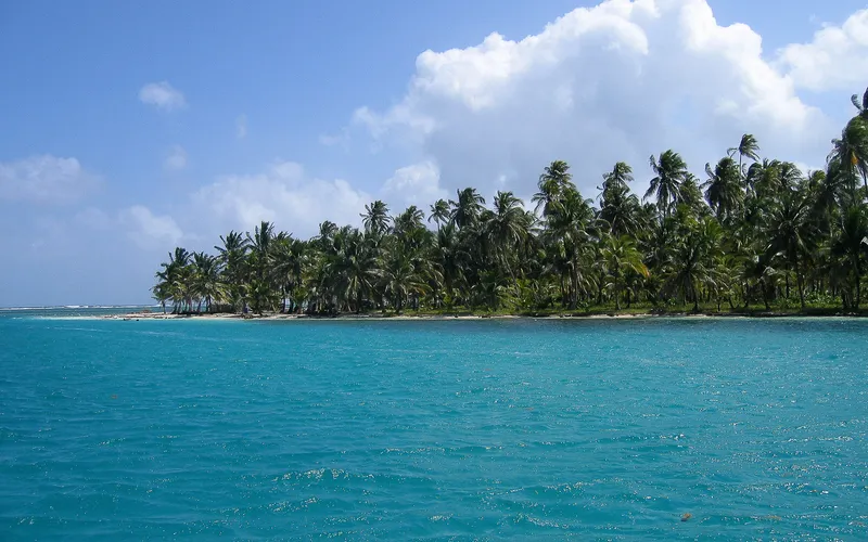 Palm tree lined coast of one of the islands