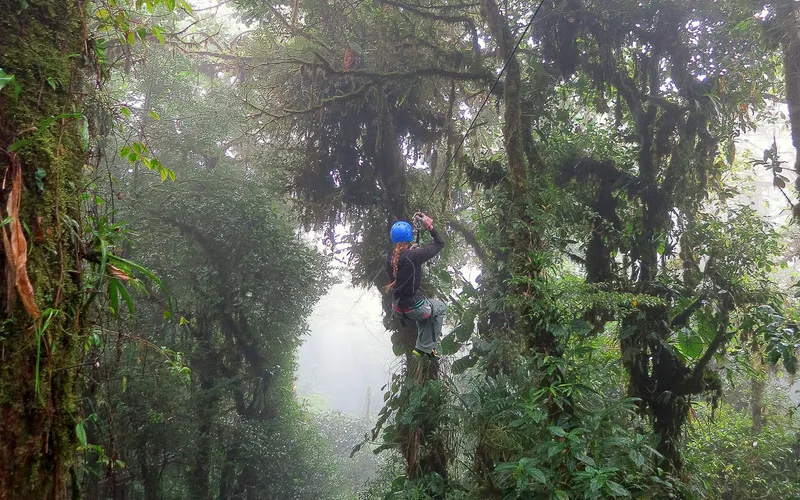 Zip line through the trees
