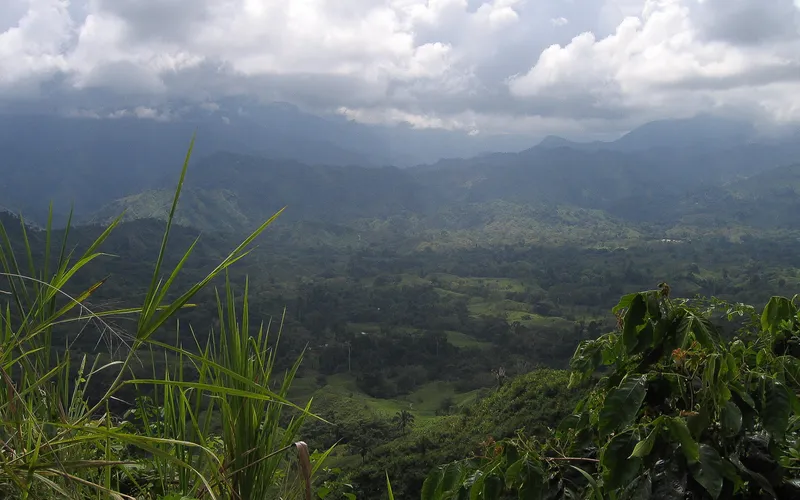 Leaving civilization behind