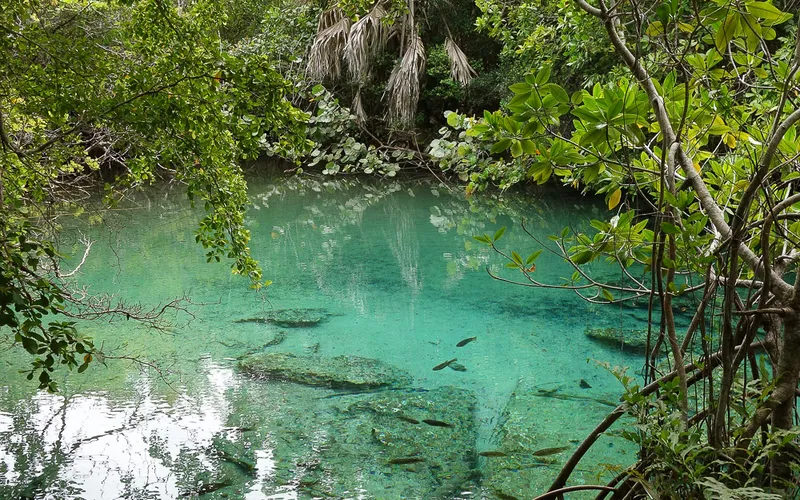 Lagoon in the Punta Cana Ecological Reserve