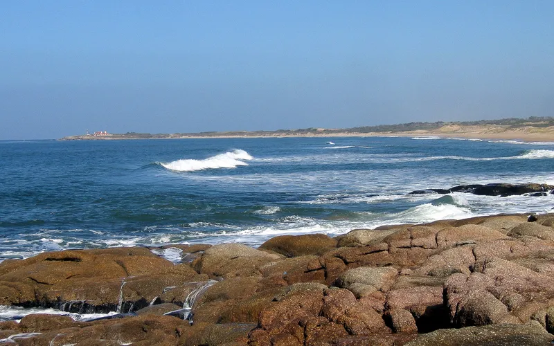 The windswept coastline