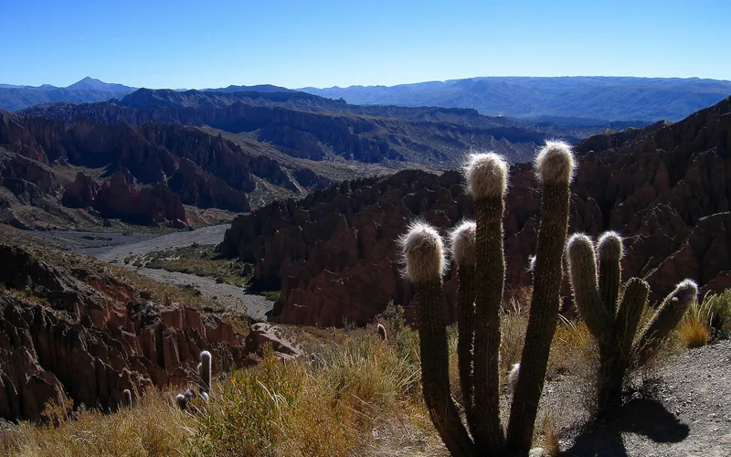 The eroded desert hillsides out of Tupiza