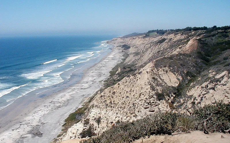 Torrey Pines
