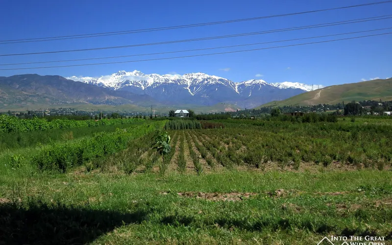 Plantation style farmhouse and the mountains in the distance