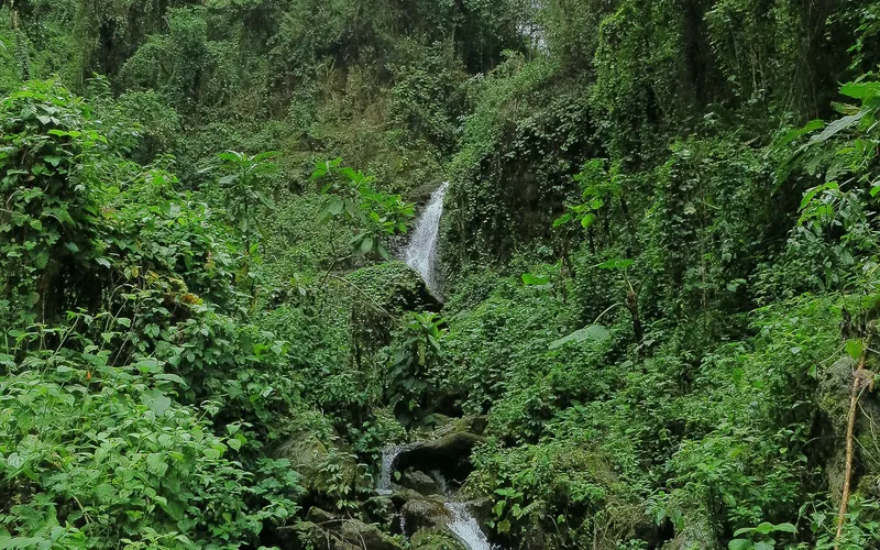On the trail to Salto Naranjo