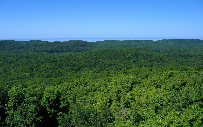 The view from Summit Peak