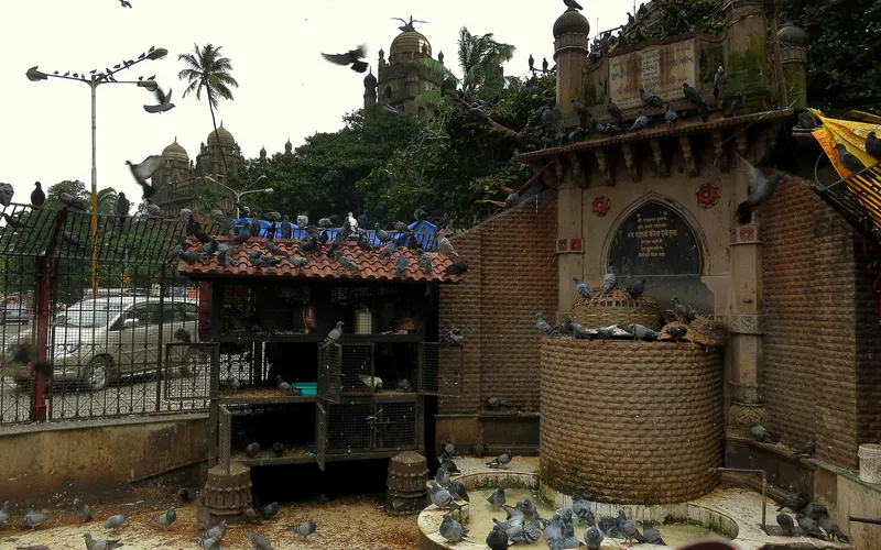 Bird house behind the main post office