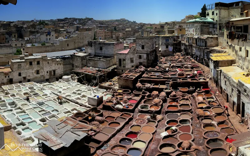 Overview of the tannery