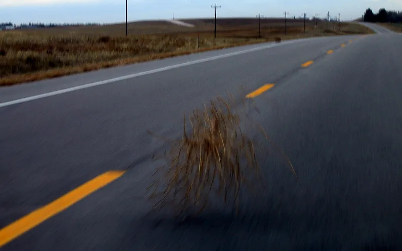 A rolling tumbleweed