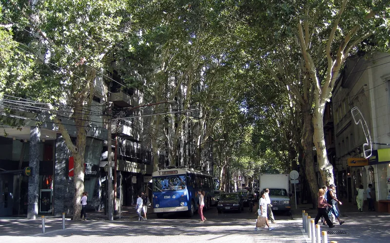 A tree-lined street off the main plaza